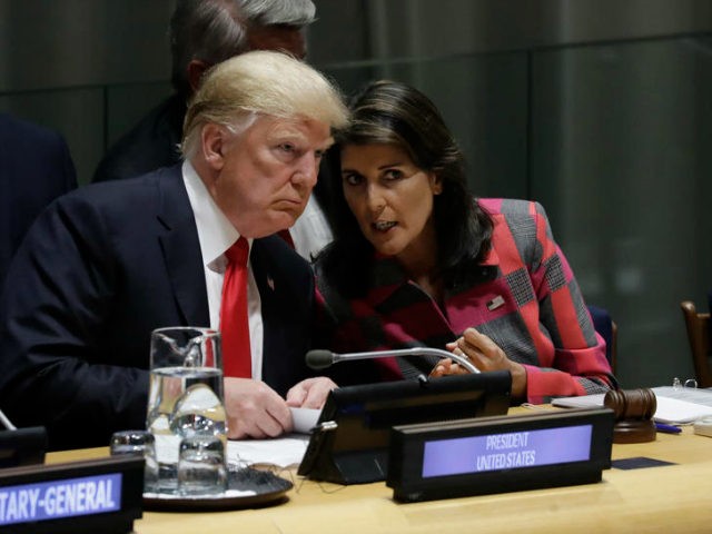 In this Sept. 24, 2018 file photo, President Donald Trump talks to Nikki Haley, the U.S. Ambassador to the United Nations, at the United Nations General Assembly at U.N. headquarters. Congressional and Trump administration officials told The Associated Press that Haley plans to resign. She was appointed to the U.N. …