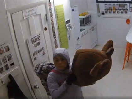 fort-collins-reindeer-burglar-security-cam