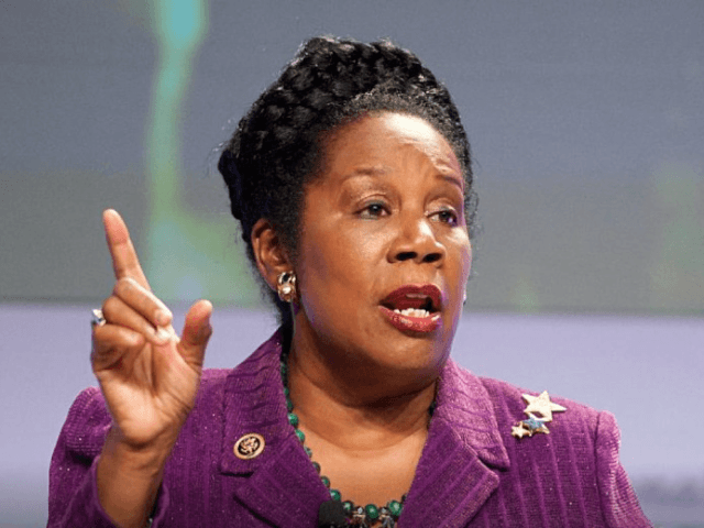 Rep. Sheila Jackson Lee (D-Texas) held a press conference on Dec. 13 to announce that she will be chairing a new Congressional Jazz Caucus. To help accomplish this, on Dec. 12 Jackson Lee introduced H.R. 4626, "to preserve knowledge and promote education about jazz in the United States and abroad."