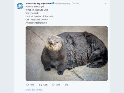 An aquarium apologized after tweeting about a fat Otter