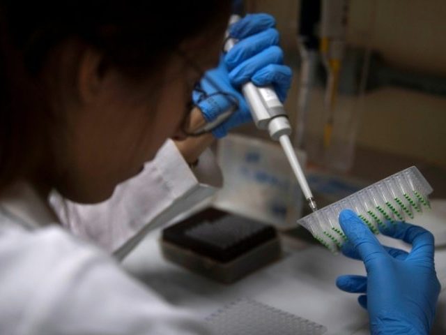 Brazil researchers crunched as science spending collapses
