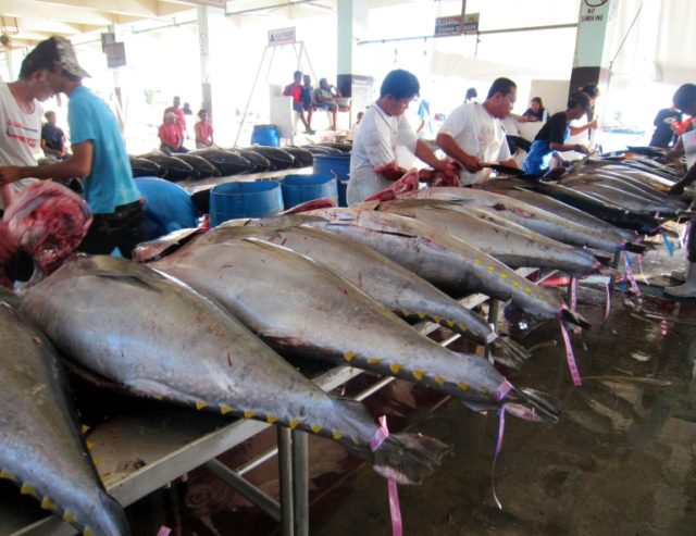 Pacific nations resist US push to lift tuna quota