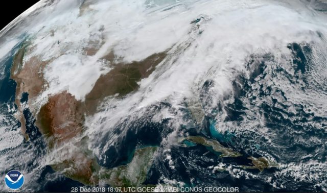US winter storms kill seven: media