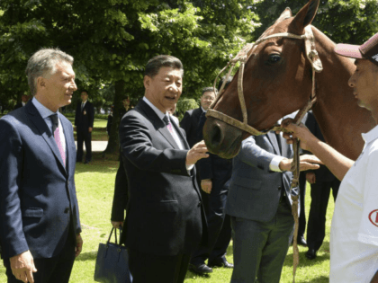 In this photo released by Argentina's press office, China's President Xi Jinping touches a polo horse gifted to him by Argentina's polo association, as Argentina's President Mauricio Macri hosts him at the Olivos presidential residence in a northern suburb of Buenos Aires, Argentina, Sunday, Dec. 2, 2018 (Argentina's presidential press …