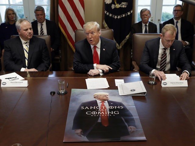 President Donald Trump speaks during a cabinet meeting at the White House, Wednesday, Jan.