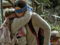 Birdbox