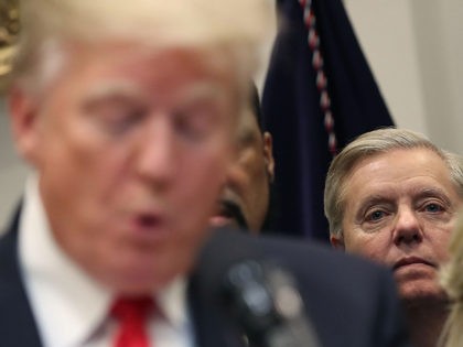 WASHINGTON, DC - NOVEMBER 14: Sen. Lindsey Graham (R-SC) (R) listens to U.S. President Don