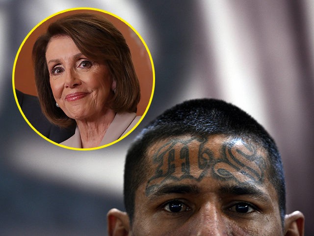 (INSET: Nancy Pelosi) A member of the Mara Salvatrucha (MS13), is pictured on Monday, Marc