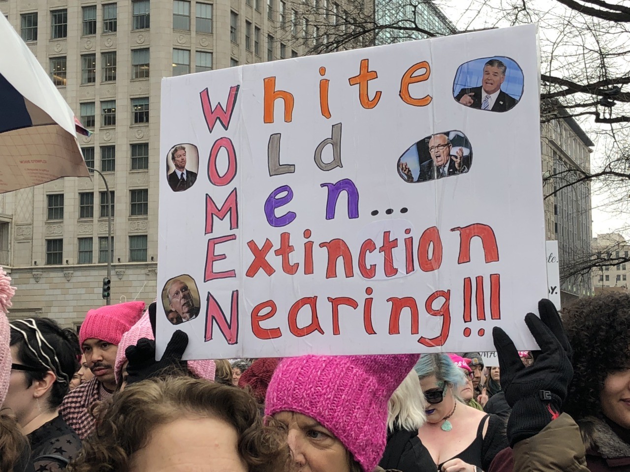 'Impeach the Orange Idiot': PHOTOS from the 2019 Women's March1280 x 960
