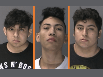 MS-13 Gang Suspects in Long Island Stabbing