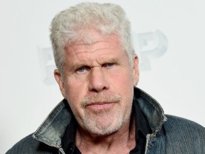 LOS ANGELES, CA - NOVEMBER 07: Ron Perlman attends the Premiere Of Vertical Entertainment&