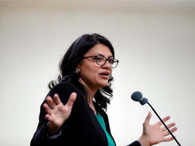 Rashida Tlaib, Democratic candidate for Michigan's 13th Congressional District, speaks at