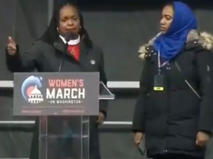 Rev. Jacqui Lewis, a Senior Minister at Middle Collegiate Church in New York, took the stage Saturday at the Women’s March and announced what she believed to be Americans’ greatest enemies.