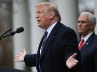 Trump in Rose Garden (Mark WIlson / Getty)