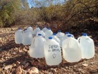 Water in Desert for Migrants Water Jugs in Desert (Photo: Facebook/No More Deaths)