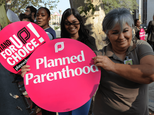 Members of the 'Planned Parenthood' women's rights group protest against the 'Stupak Ammen