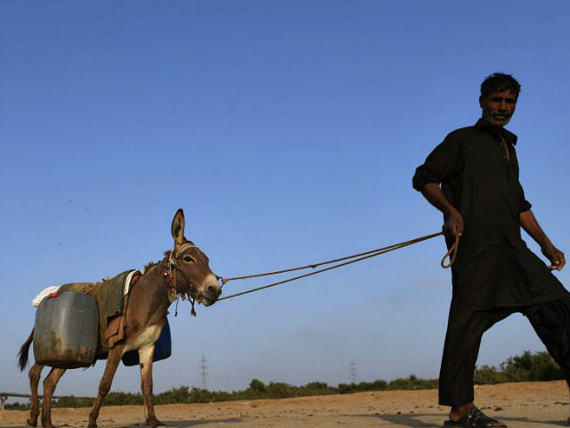 A Pakistani man walks with his donkey carrying water cans after filling them from a leakin