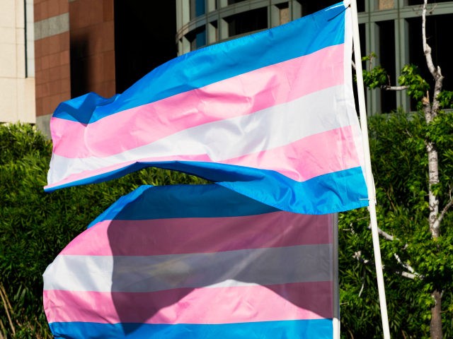Trans pride flags flutter in the wind at a gathering to celebrate International Transgende