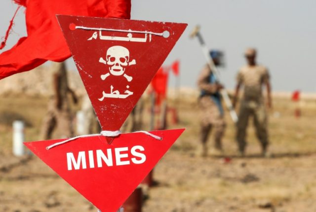 South African, European demining experts killed in Yemen