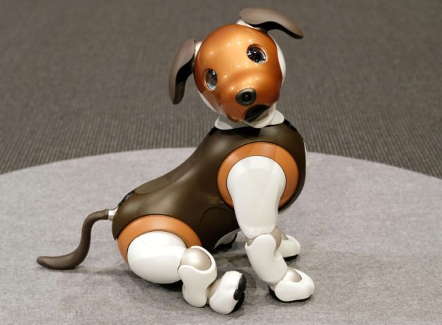 Paw patrol: Sony offers robocop dog at home