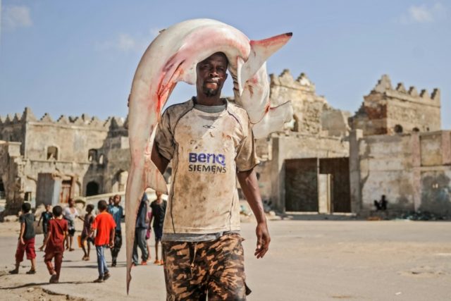 Liberia wrestles with poverty and ecology in bid to protect sharks