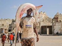 Fishing of sharks and rays is common in Liberia and they can be seen in port markets around Africa, such as in Somalia's capital here Liberia wrestles with poverty and ecology in bid to protect sharks