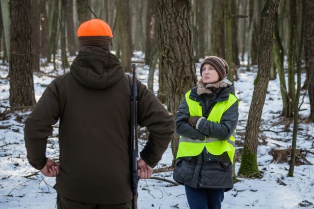 Polish animal activists block govt-ordered boar hunt