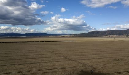 New Australia mass fish deaths in key river system