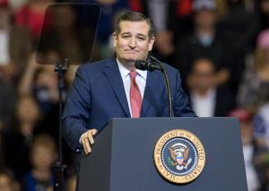 Ted Cruz introduces Constitutional amendment for term limits in Congress