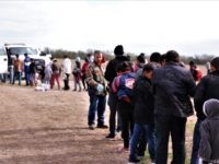 02_13_19 MCS Large Grp3 Rio Grande Valley Sector Border Patrol agents apprehend a large group of migrants after they illegally crossed border from Mexico. (Photo: U.S. Border Patrol/Rio Grande Valley Sector)