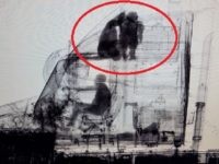 20190227_1_windjammer Illegal aliens being smuggled in a tractor-trailer Windjammer. (Photo: U.S. Border Patrol/Laredo Sector)