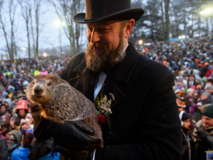 Handler AJ Dereume holds Punxsutawney Phil after he did not see his shadow predicting an early spring during the 133rd annual Groundhog Day festivities on February 2, 2019 in Punxsutawney, Pennsylvania. Groundhog Day is a popular tradition in the United States and Canada. A crowd of upwards of 30,000 people …