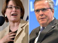 Amy Klobuchar, Jeb Bush Amy Klobuchar, Jeb Bush