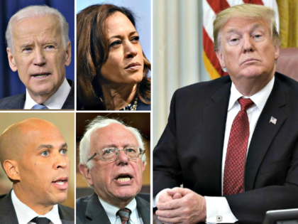 Biden, Harris, Trump, Sanders, Booker
