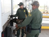 Border Patrol K-9 at immigration checkpoint Border Patrol K-9 Checks Tractor-Trailer for suspected human smuggling activity. (Photo: U.S. Border Patrol)