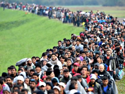 Endless Migration Jeff J Mitchell Getty