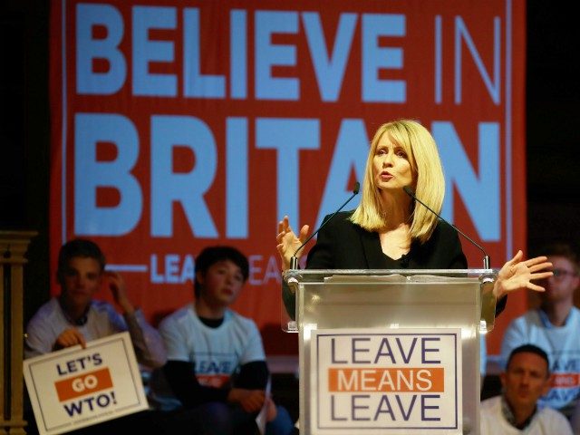 Conservative Party MP Esther McVey speaks at a political rally entitled 'Lets Go WTO' host