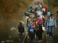 SUBOTICA, SERBIA - SEPTEMBER 09: Migrants make their way through Serbia, near the town of Subotica, towards a break in the steel and razor fence erected on the border by the Hungarian government on September 9, 2015 in Subotica, Serbia. Thousands of migrants have funnelled their way across country to …