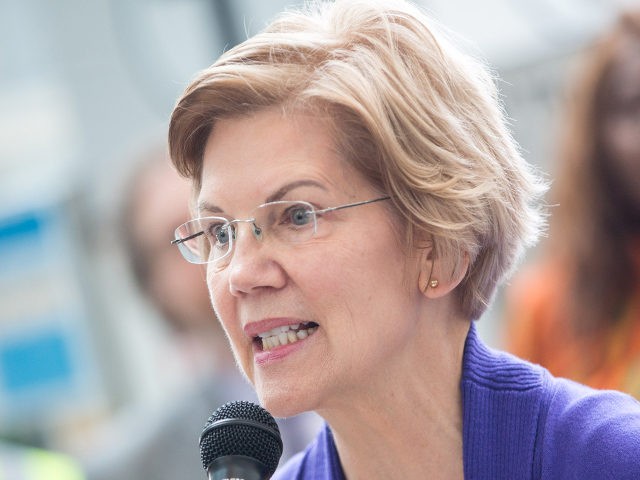 BOSTON, MA - JANUARY 21: Sen. Elizabeth Warren (D-MA), speaks during a rally for airport w