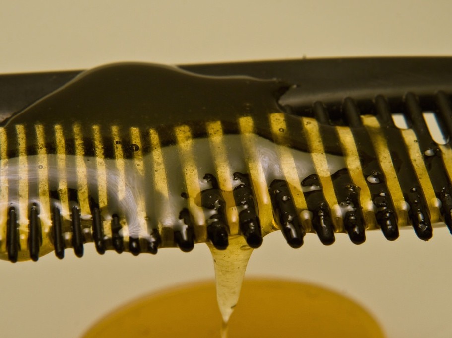 NYT Amy Klobuchar Ate With Her Comb Then Made Staff Clean It