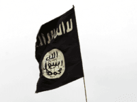 41 Swedish Municipalities Being Forced to Take Back ISIS Members