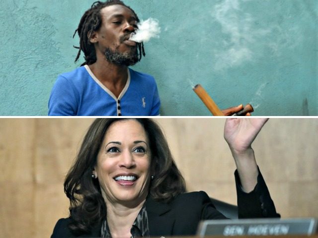 Jamaican Smoking, Kamala Harris