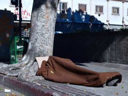 Los Angeles homeless (Frederic J. Brown / AFP / Getty)