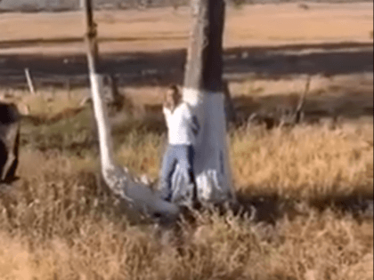 Michoacan Execution