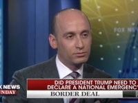 Miller Stephen Miller