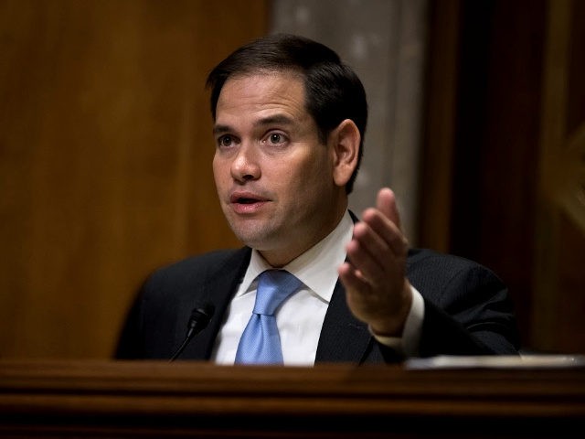 Sen. Marco Rubio (R-FL). (Drew Angerer/Getty Images)