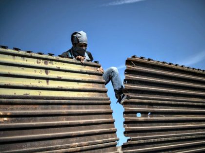 A migrant tries to bring down part of the border fence near El Chaparral border crossing in Tijuana on Nov 25. / AFP / Getty Images