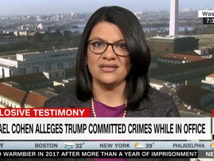 Rep. Rashida Tlaib on CNN, 2/28/2019