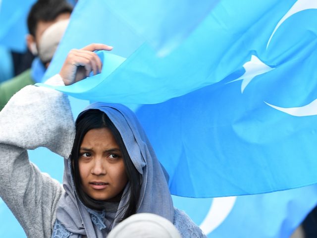 A woman takes part in a protest march of Ethnic Uighurs asking for the European Union to c