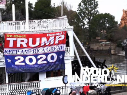 Dion Cini's Trump flag drop at Disneyland.
